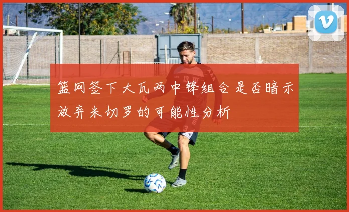 篮网签下大瓦两中锋组合是否暗示放弃米切罗的可能性分析