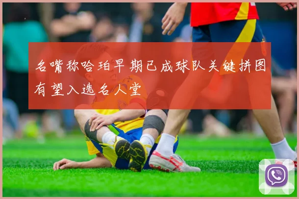名嘴称哈珀早期已成球队关键拼图有望入选名人堂